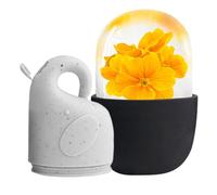 Rodillo Facial Para Hielo - Siliconas Beauty ICE | Rolleri Icecubes Reutilizables | Reducción De Arrugas Hinchazón | Mejora La Elasticidad De La Piel | Piel Facial Herramientas De Belleza