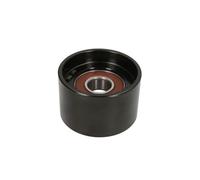 Rodillo tensor BTA B05-AG-082