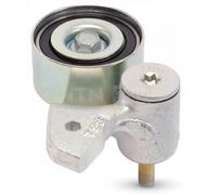 Rodillo tensor de la correa de distribución GT357.64 SNR para AUDI A4 B6 A6 C5