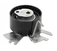 SNR Polea tensora, correa distribución para CITROËN: C5, DS5, DS4, C4 Picasso, C8, Jumpy, Dispatch, C4 & FORD: S-Max, Galaxy, Mondeo (Ref: GT359.38)