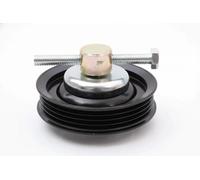 Rodillo tensor de la correa trapezoidal 129-01-100 ASHIKA para VW NISSAN