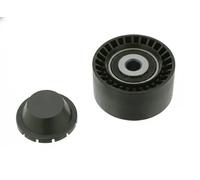 FEBI BILSTEIN Polea inversión/guía, correa auxiliar servicios para CITROËN: Berlingo, DS3, C3 Aircross, C-Elysée, C3, C4, Nemo, C1, Xsara (Ref: 22355)