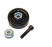 Rodillo tensor de la correa trapezoidal 531 0864 10 INA para CHEVROLET SPARK