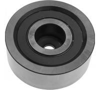 Polea Inversión/guía Correa Poli V Schaeffler Ina 532 0399 20 para Iveco Renault