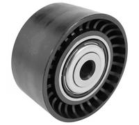 DAYCO Polea inversión/guía, correa auxiliar servicios para RENAULT: Mégane, Laguna, Espace, Master, Koleos, Vel Satis (Ref: APV3178)