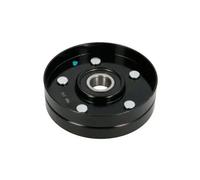 Rodillo tensor de la correa trapezoidal B05-AG-085 BTA