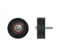 Rodillo tensor de la correa trapezoidal derecha RNK-FR-004 NTY para MAZDA FORD