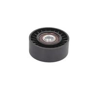 Rodillo tensor de la correa trapezoidal E2Y0007BTA BTA para JEEP VW AUDI