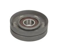 Rodillo tensor de la correa trapezoidal E2Y6138BTA BTA para ROVER CHRYSLER