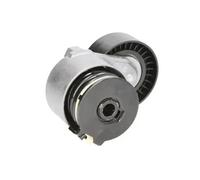 Rodillo tensor de la correa trapezoidal E3R0002BTA BTA para RENAULT NISSAN