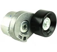 Rodillo tensor de la correa trapezoidal FT44615 FAST para FORD TRANSIT Autobús