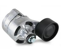 Rodillo tensor de la correa trapezoidal FT44623 FAST para FORD TRANSIT Autobús