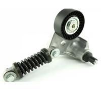 Rodillo tensor de la correa trapezoidal FT44631 FAST para FORD JAGUAR