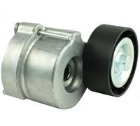 Rodillo tensor de la correa trapezoidal FT44633 FAST para ALFA ROMEO SAAB OPEL