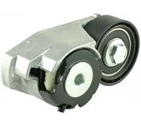 Rodillo tensor de la correa trapezoidal FT44638 FAST para FORD JAGUAR
