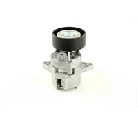 Rodillo tensor de la correa trapezoidal FT44646 FAST para MERCEDES-BENZ JEEP