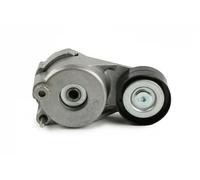 Rodillo tensor de la correa trapezoidal FT44653 FAST para MERCEDES-BENZ JEEP