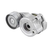 SNR Polea tensora, correa auxiliar servicios para MERCEDES-BENZ: Classe ML, Classe S, Classe R, Classe GL, Classe G (Ref: GA351.55)