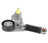 Rodillo tensor de la correa trapezoidal GA352.59 SNR para FORD JAGUAR