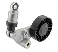 Rodillo tensor de la correa trapezoidal GA353.53 SNR para OPEL SAAB