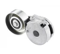 Rodillo tensor de la correa trapezoidal GA355.25 SNR para RENAULT NISSAN