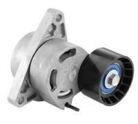 Rodillo tensor de la correa trapezoidal GA355.26 SNR para RENAULT NISSAN OPEL