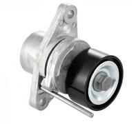 Rodillo tensor de la correa trapezoidal GA355.32 SNR para DACIA RENAULT