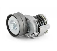 SNR Polea tensora, correa auxiliar servicios para VOLKSWAGEN: Golf Cabriolet, Tiguan, Eos, Golf, Jetta, New Beetle, Touran, Passat, CC (Ref: GA357.50)