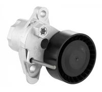 SNR Polea tensora, correa auxiliar servicios para VOLKSWAGEN: Golf Cabriolet, Tiguan, Caddy, Golf, Jetta, Passat, Polo, UP, New Beetle (Ref: GA357.67)