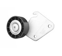 Rodillo tensor de la correa trapezoidal GA359.80 SNR para CITROËN PEUGEOT FIAT