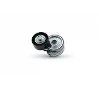 Rodillo tensor de la correa trapezoidal GA359.98 SNR para PEUGEOT CITROËN FIAT