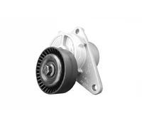 SNR Polea tensora, correa auxiliar servicios para VOLVO: S40, V70, S70, V40, S80, S60, XC 90, C70, XC 70 (Ref: GA365.31)