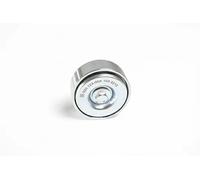 Rodillo tensor de la correa trapezoidal Metal 020.123-00A PE Automotive