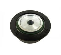 MAXGEAR 54-0169 Polea inversión / guía, correa poli V