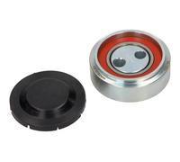 MAXGEAR 54-1061 Polea inversión / guía, correa poli V