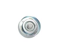 MAXGEAR 54-1187 Polea inversión / guía, correa poli V