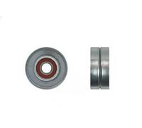 Rodillo tensor de la correa trapezoidal Metal RNK-CH-008A NTY para CHRYSLER JEEP