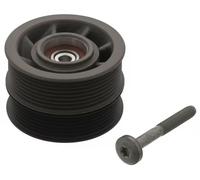 FEBI BILSTEIN Polea inversiÃ³n/guÃa, correa auxiliar servicios para MERCEDES-BENZ: Classe E, Classe CLS, Classe S, Classe G, Classe CL (Ref: 44978)