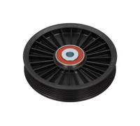 MAXGEAR 54-0320 Polea inversión / guía, correa poli V