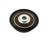 Rodillo tensor de la correa trapezoidal Plástico 54-0494 MAXGEAR para LANCIA