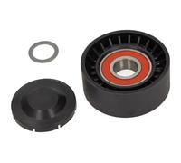 Rodillo tensor de la correa trapezoidal Plástico 54-0606 MAXGEAR para PEUGEOT