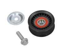Rodillo tensor de la correa trapezoidal Plástico 54-0974 MAXGEAR para BMW