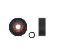 Rodillo tensor de la correa trapezoidal Plástico RNK-BM-008 NTY para BMW 3 1 X3