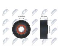 Rodillo tensor de la correa trapezoidal Plástico RNK-FR-011 NTY para FORD LANCIA