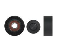 Rodillo tensor de la correa trapezoidal Plástico RNK-FR-020 NTY para FORD