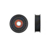 Rodillo tensor de la correa trapezoidal Plástico RNK-FR-060 NTY para FORD C-MAX