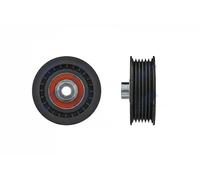 Rodillo tensor de la correa trapezoidal Plástico RNK-FR-062 NTY para FORD