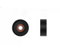 Rodillo tensor de la correa trapezoidal Plástico RNK-FR-066 NTY para FORD