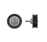 NTY Roldana Tensionadora Correa de Accesorios RNK-LR-019 Para Land Rover