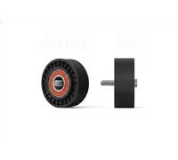 Rodillo tensor de la correa trapezoidal Plástico RNK-ME-047 NTY